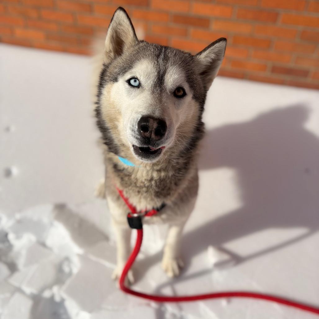 Clam Chowder thumbnail 3