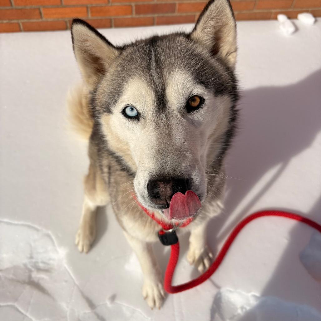 Clam Chowder thumbnail 4