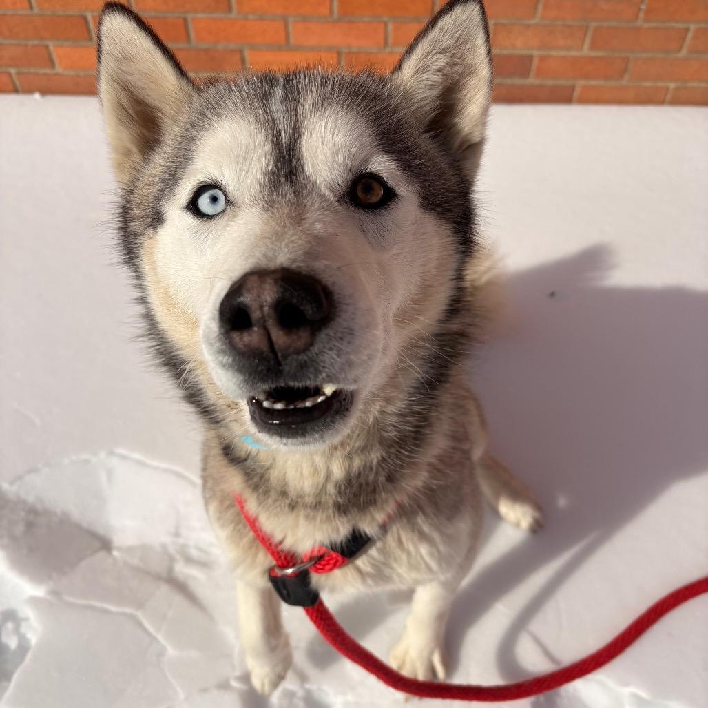 Clam Chowder thumbnail 5