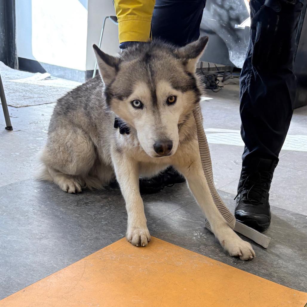 Clam Chowder thumbnail 6