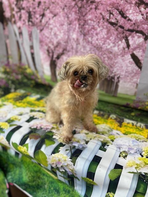 Mitsy