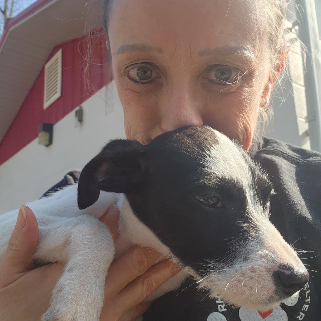 Mable — thumbnail 2