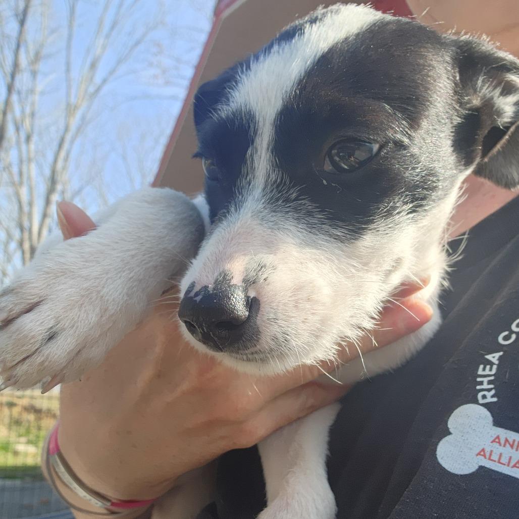 Mable — thumbnail 3