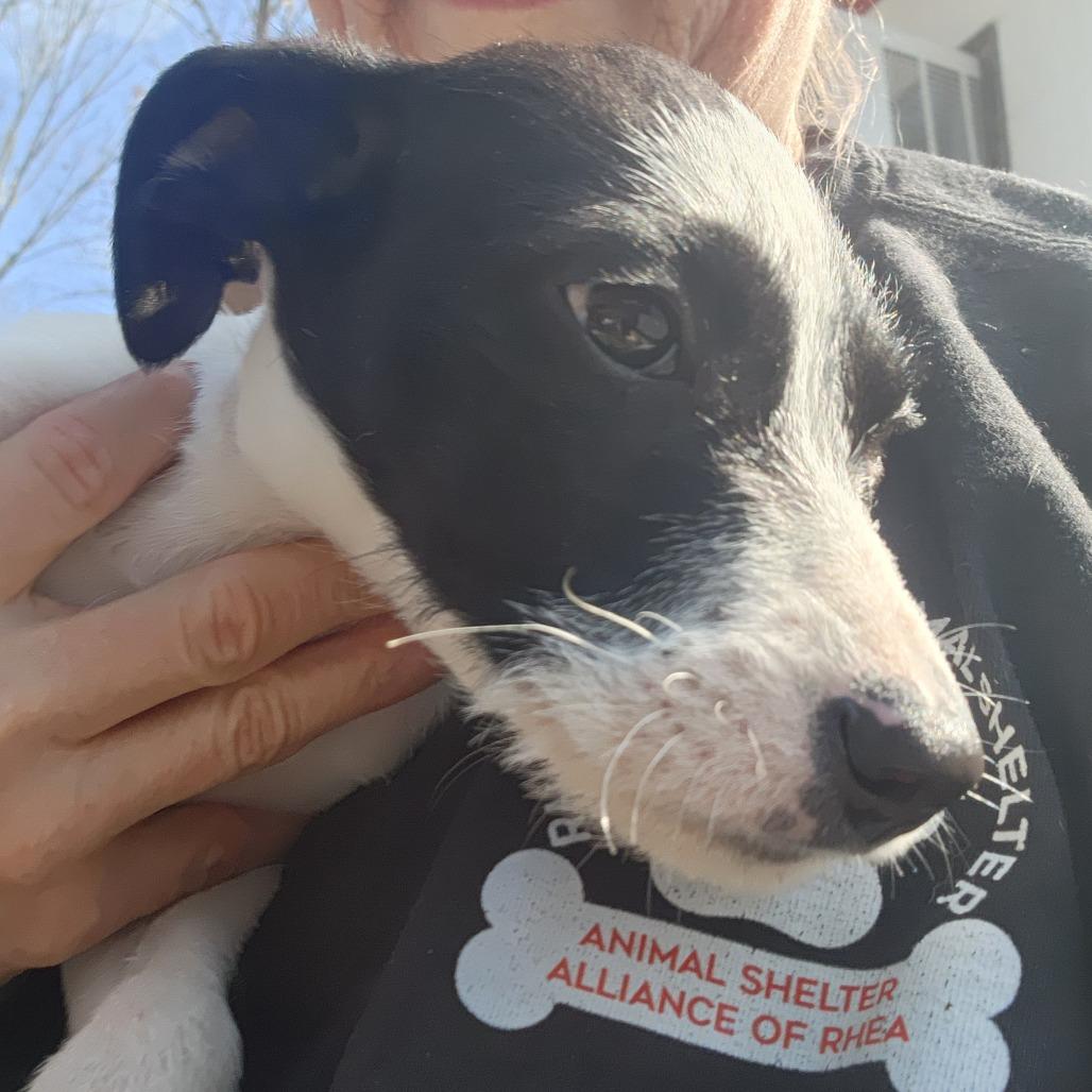 Mable — thumbnail 4