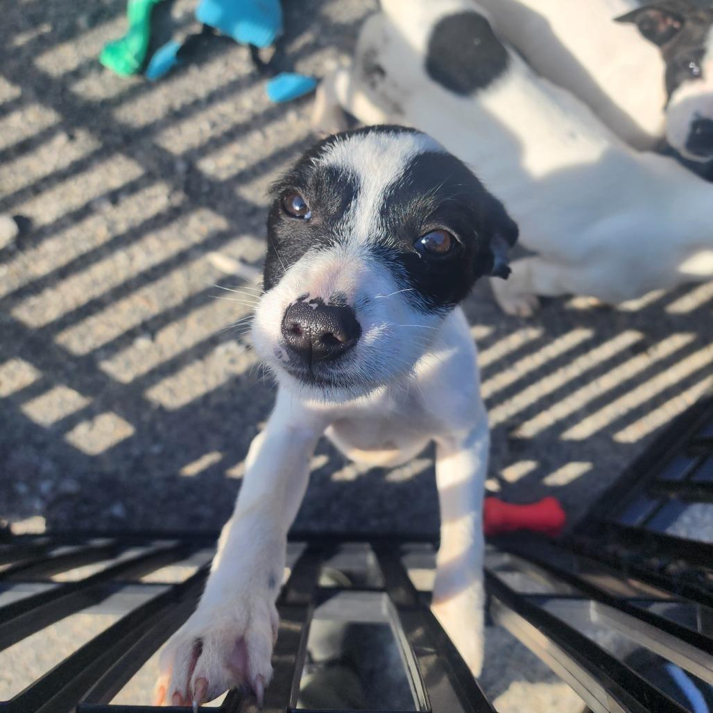 Mable — thumbnail 5