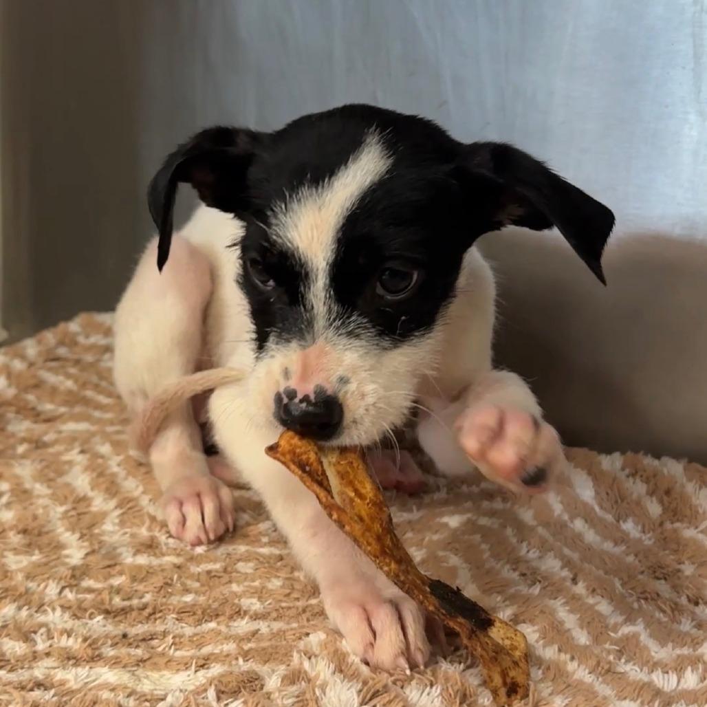 Mable — thumbnail 6