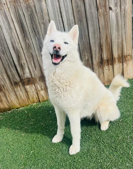 Luna Belle