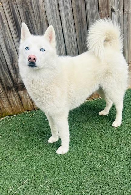 Luna Belle photo 2