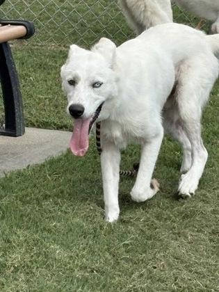 Whitey Walpt thumbnail 3