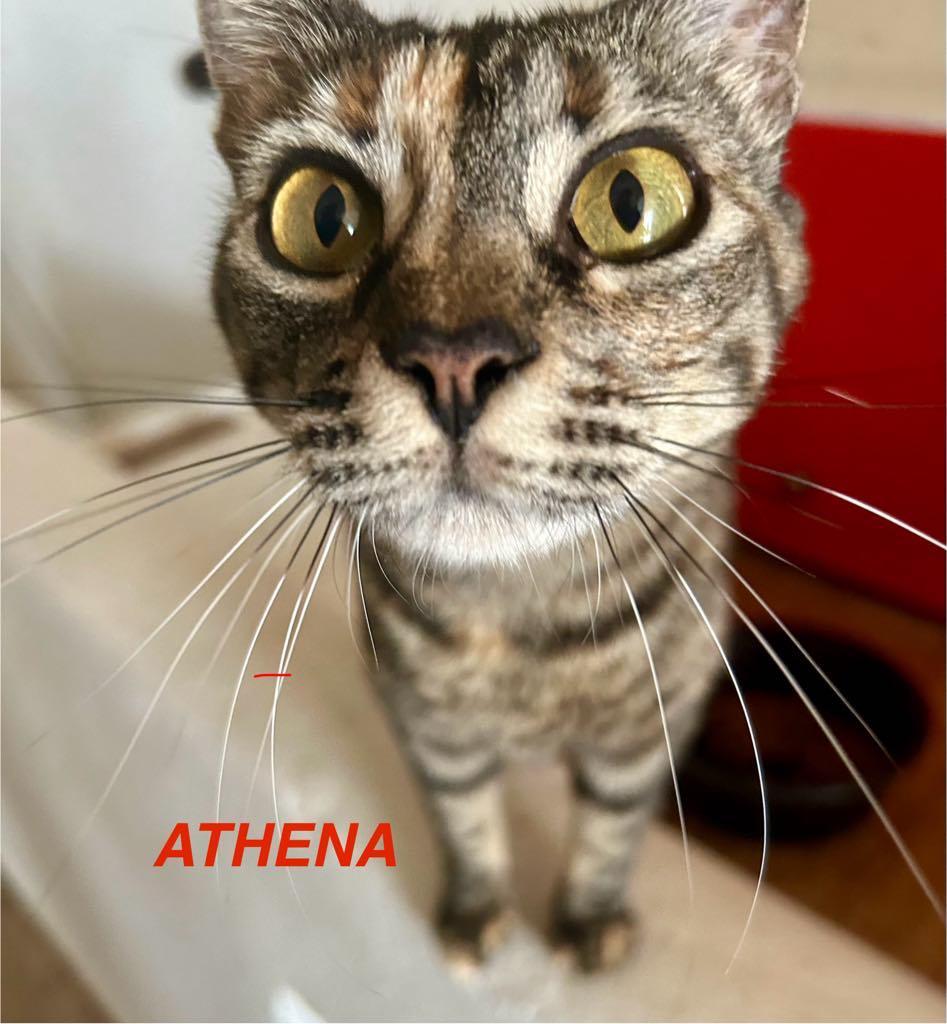 Athena