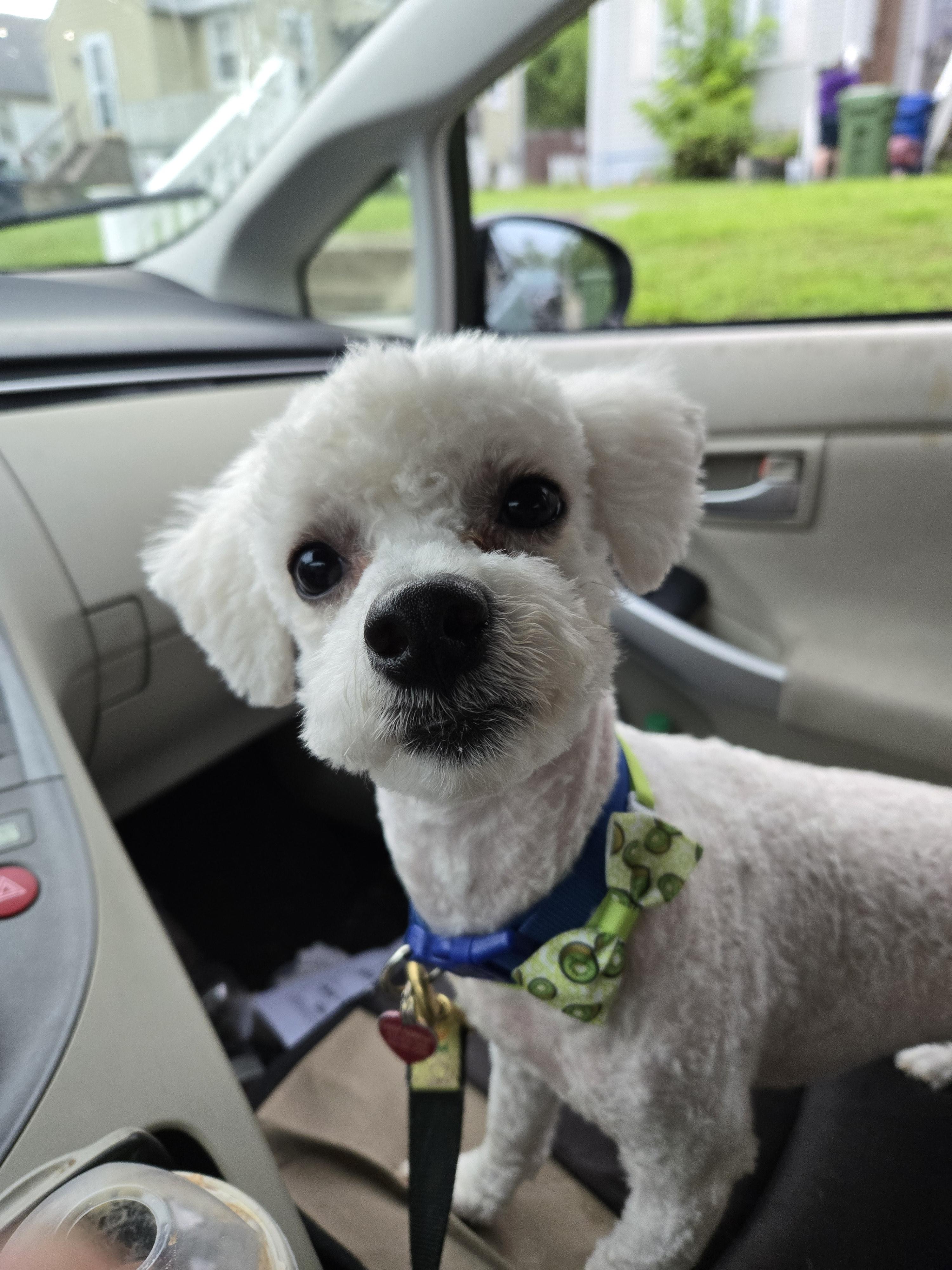 Frankie