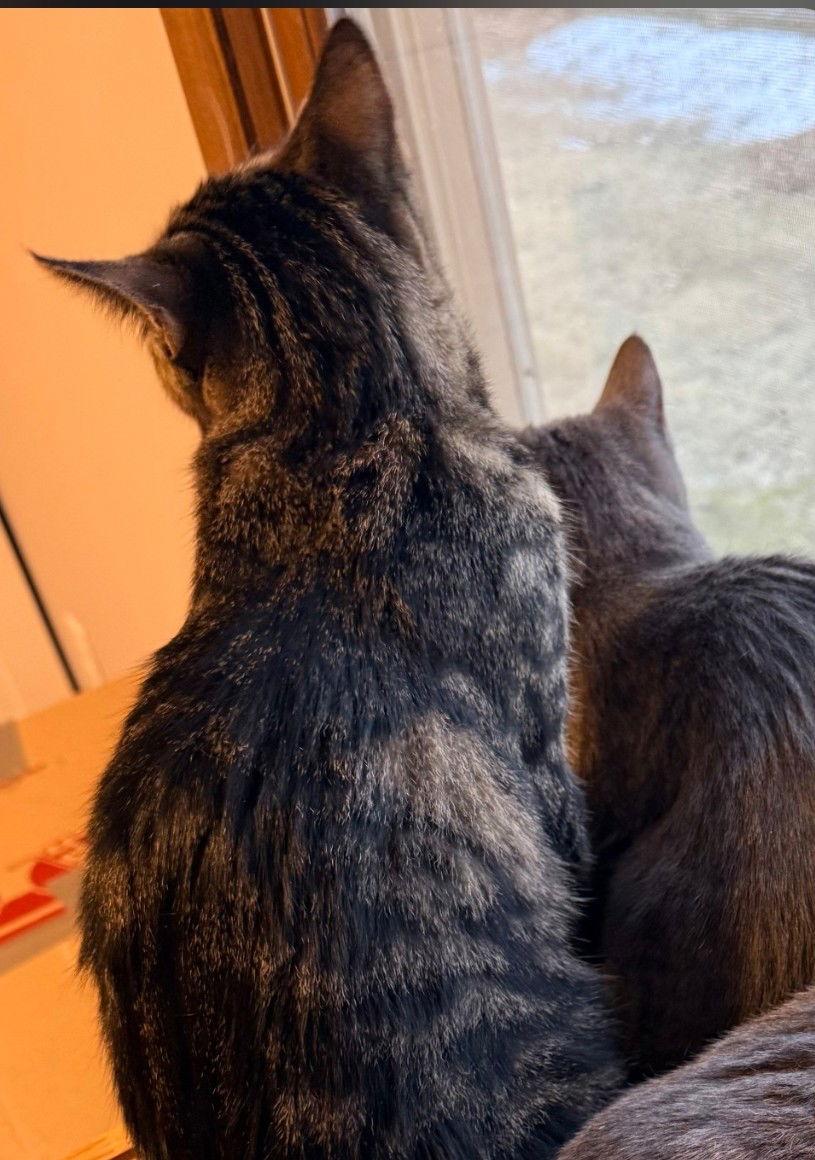 Bruna — thumbnail 3