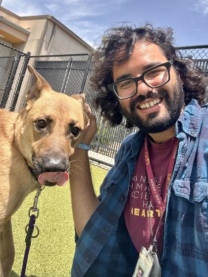 Cayde-6, a Adoptable mixed breed in Wichita, KS image 3/3