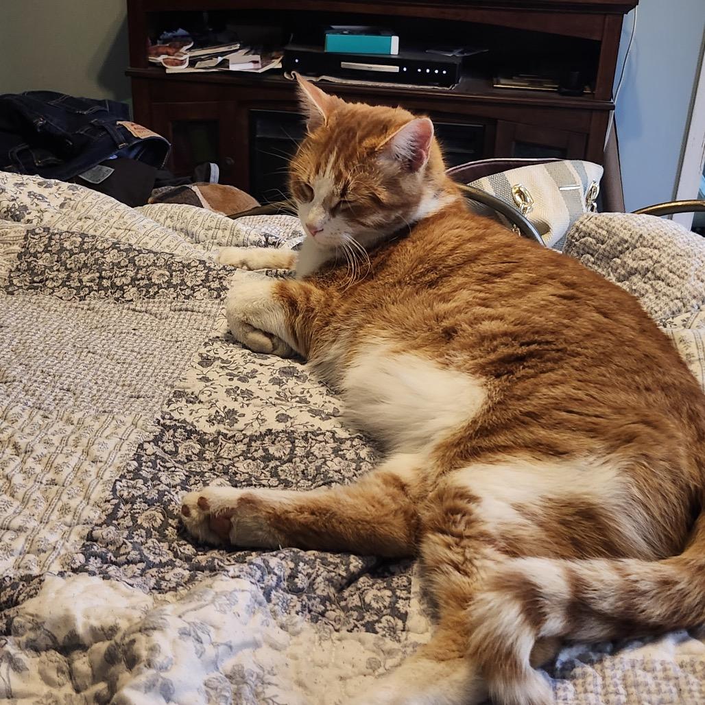 Roger — thumbnail 2