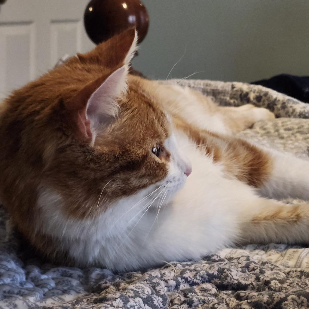 Roger — thumbnail 5