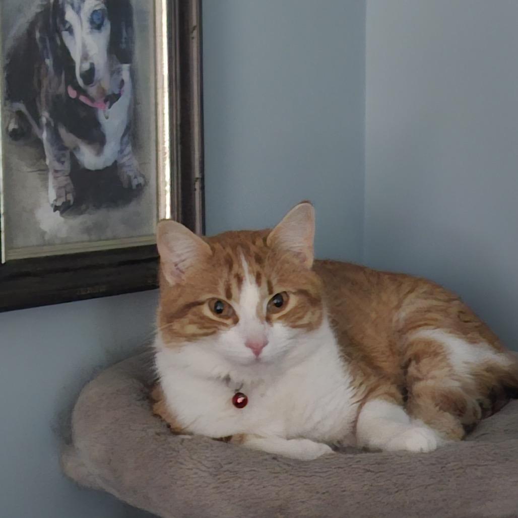 Roger — thumbnail 6