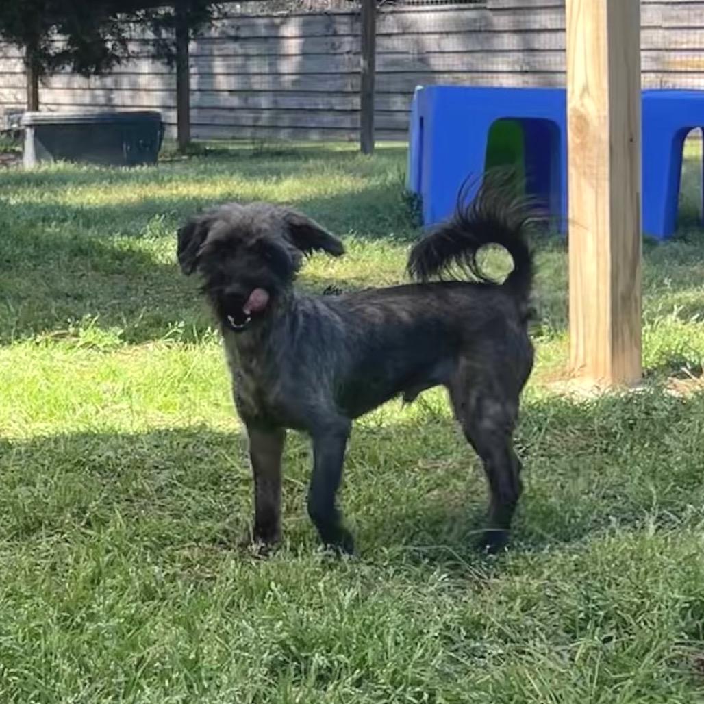 Vince Moretti — thumbnail 3