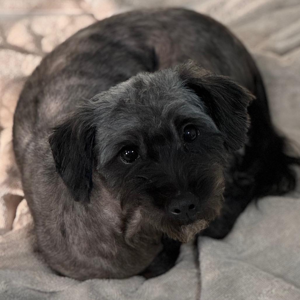 Vince Moretti — thumbnail 5