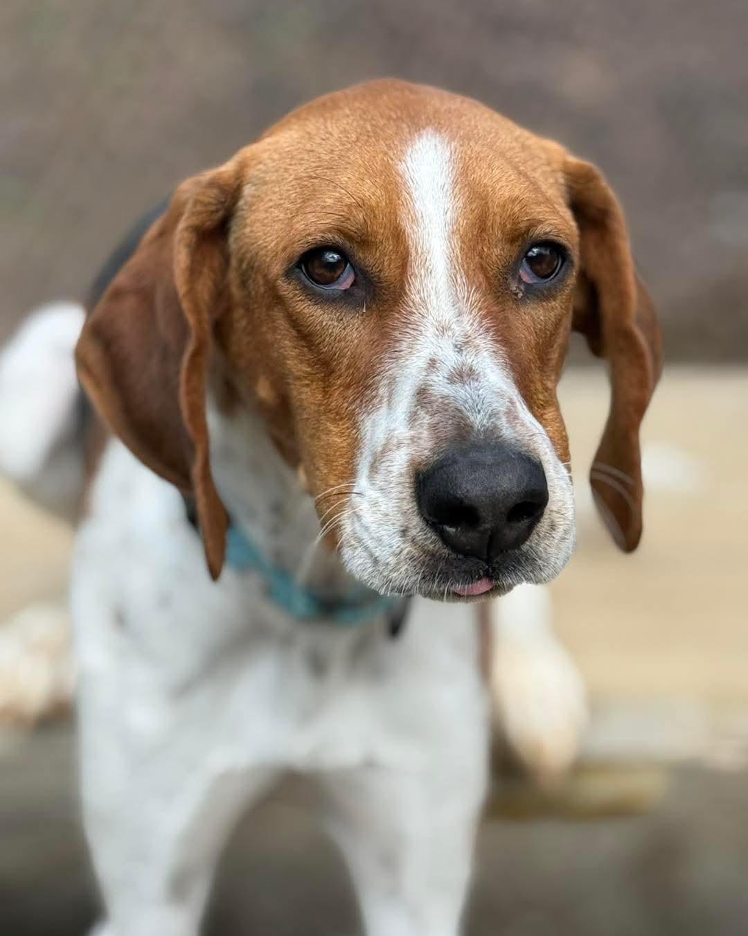 Remi