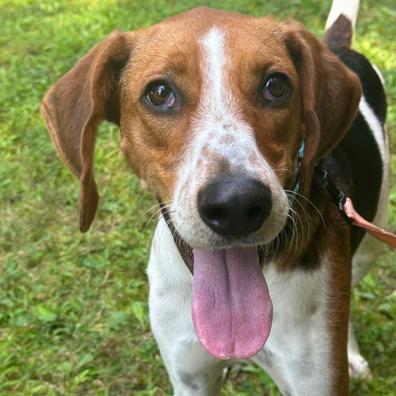 Remi