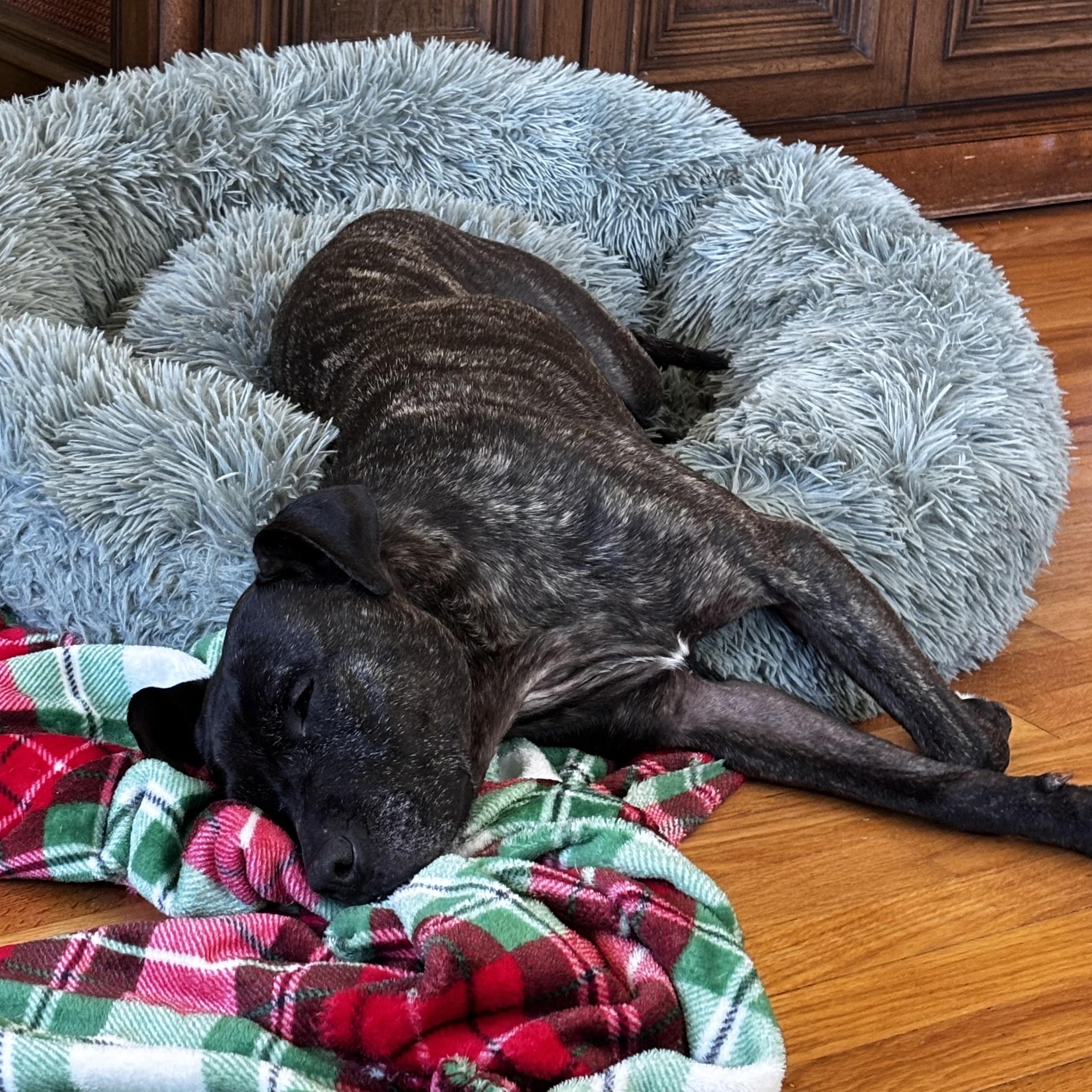 Mia- Courtesy Listing