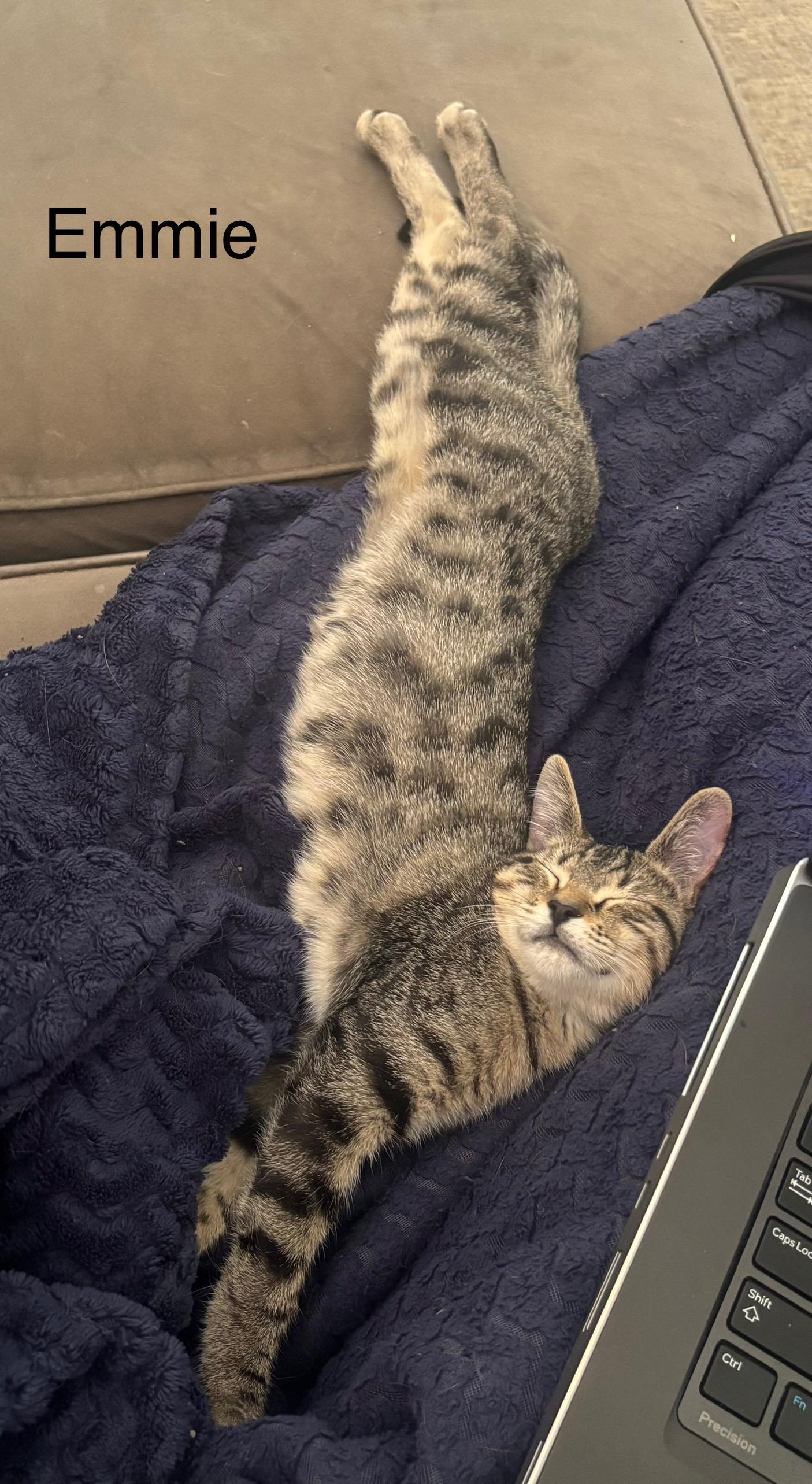 Emmie