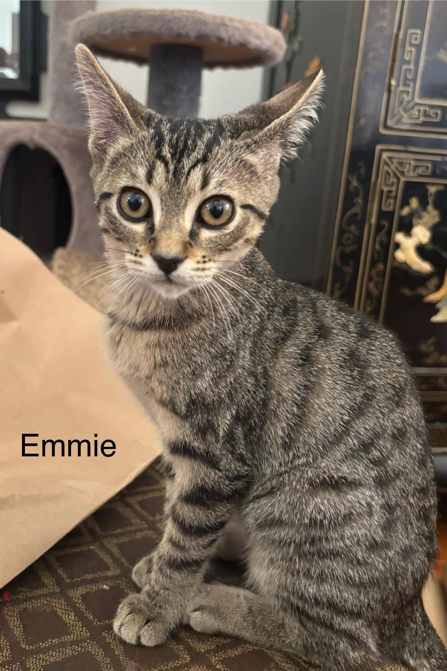 Emmie