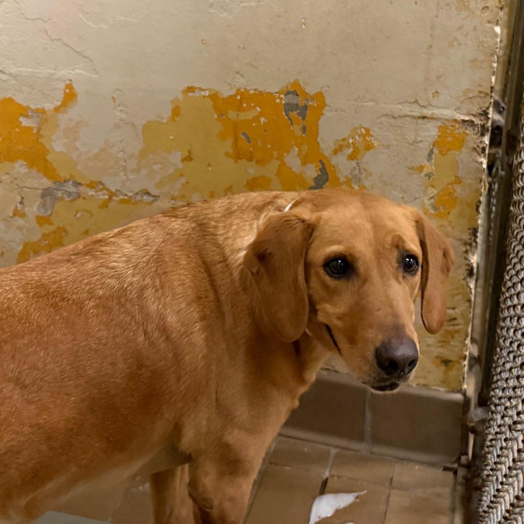 Janet — thumbnail 2