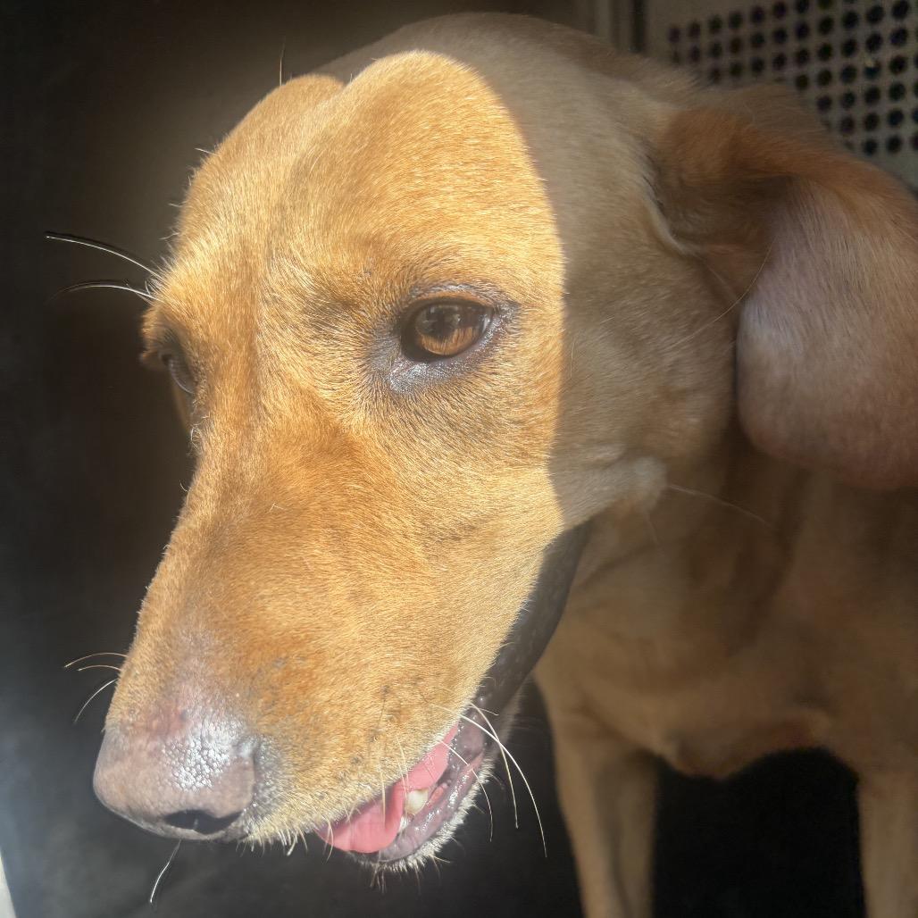 Janet — thumbnail 3