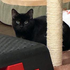 Candy Land — thumbnail 2