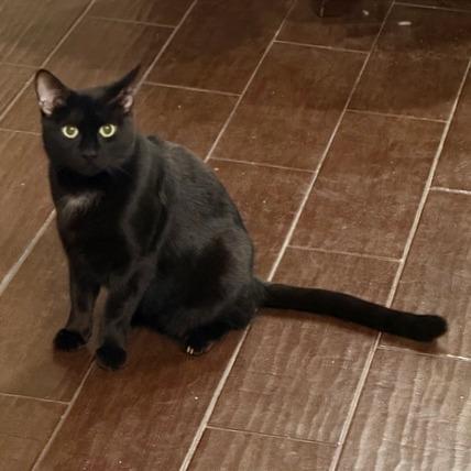 Candy Land — thumbnail 3