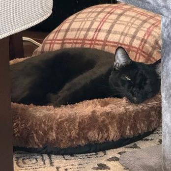 Candy Land — thumbnail 5