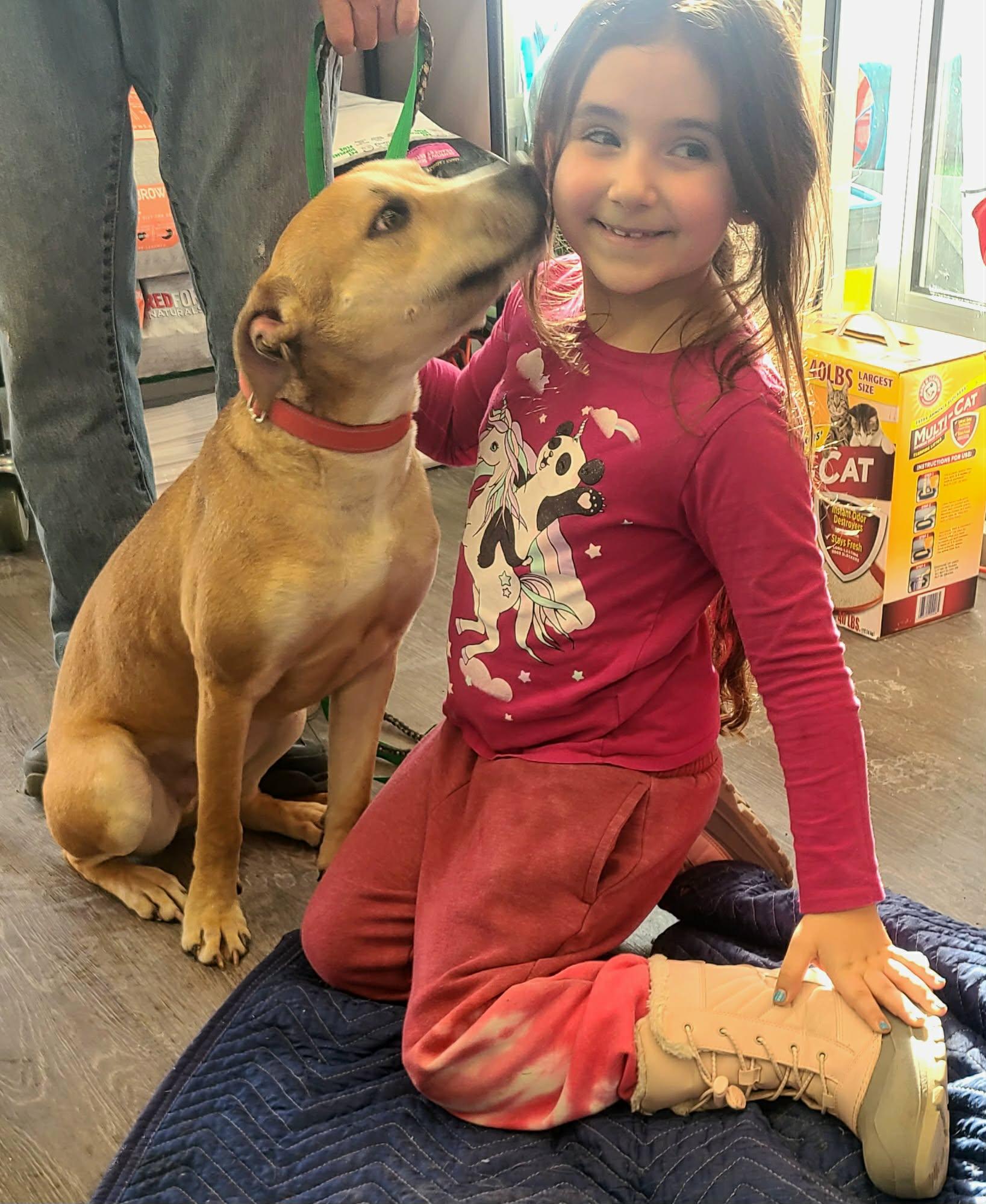 Enlarge Kane, a Adoptable mixed breed in Rochester, NY image 3/6