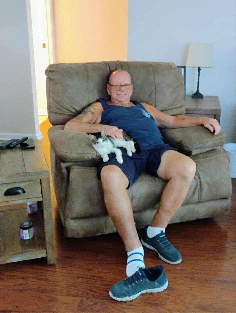 Taz, a Adoptable Domestic Short Hair in Saint Augustine, FL image 4/5