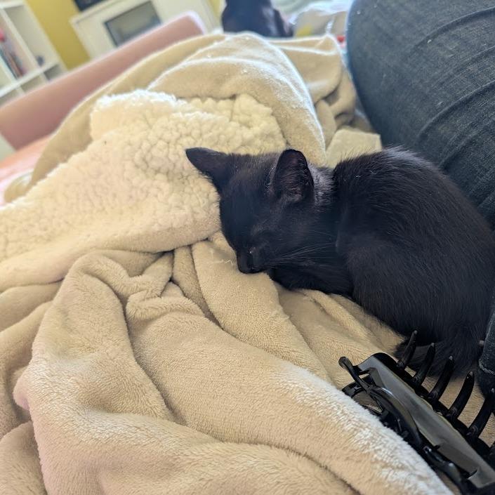 Zumi Zooma 16 — thumbnail 2