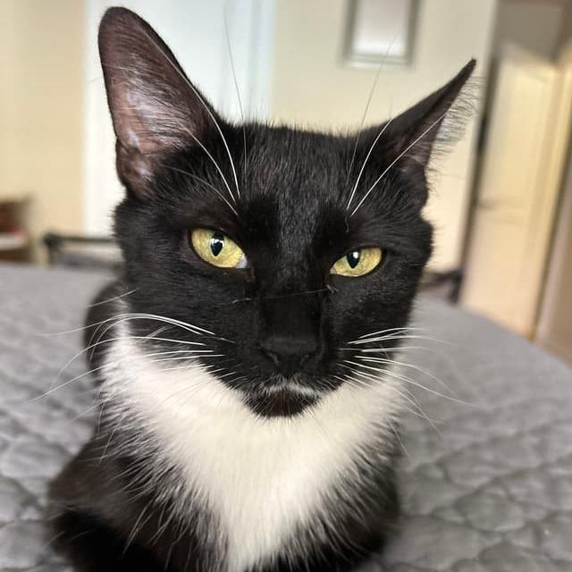 Mela 2 — thumbnail 4