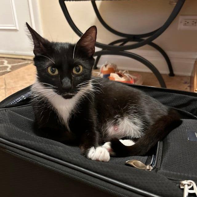 Mela 2 — thumbnail 5