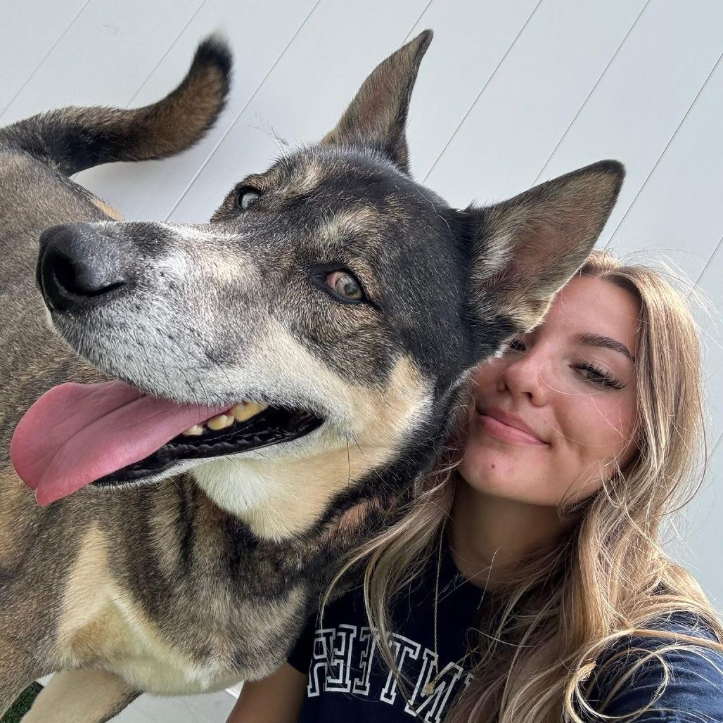 Enlarge Smokey, a Adoptable Mixed Breed in Naperville, IL image 5/5