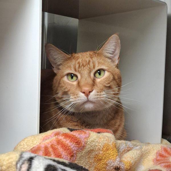 Walter -- Bonded Buddy With Russell