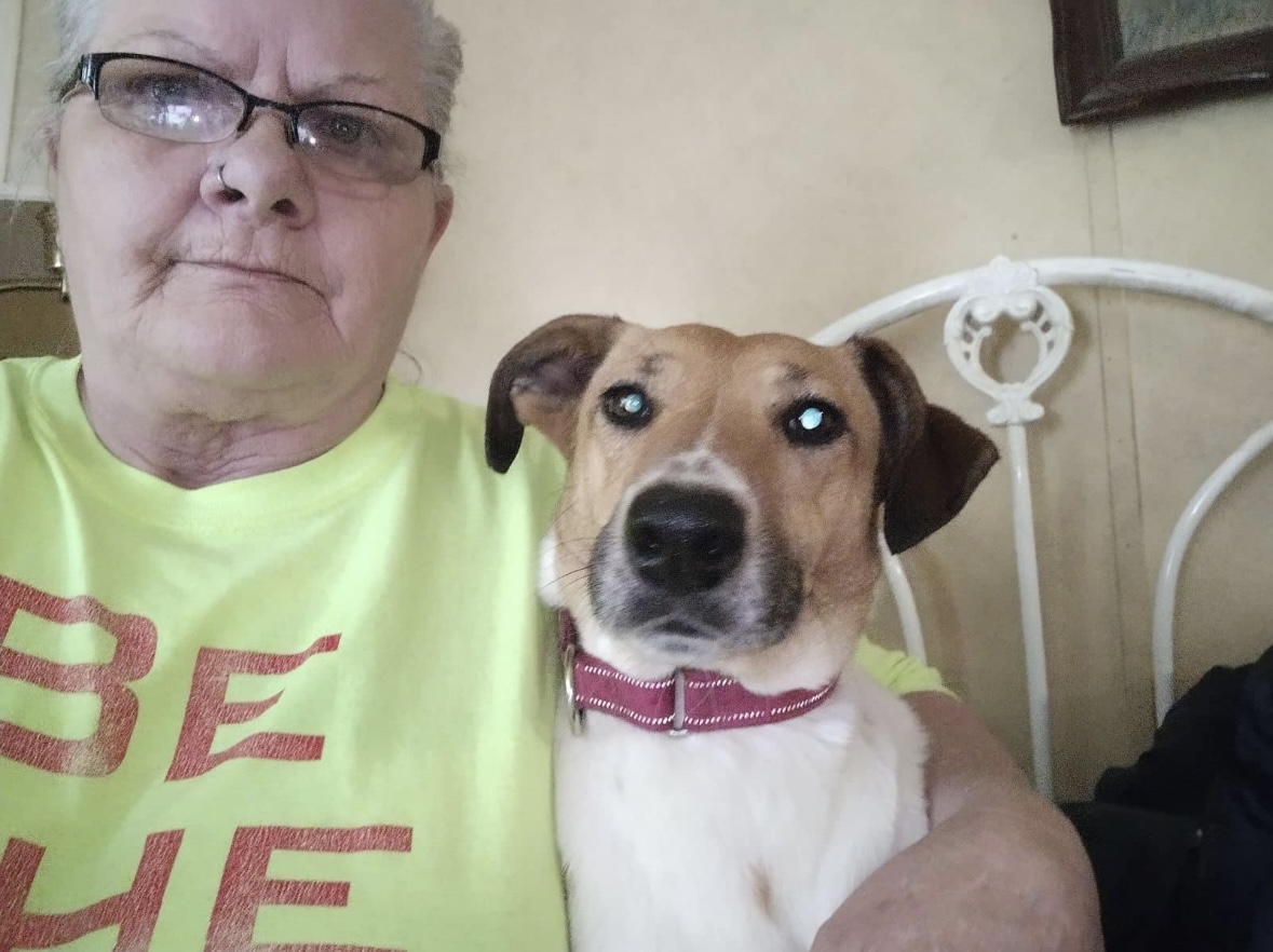 Dove- over 2 YEARS in shelter/foster