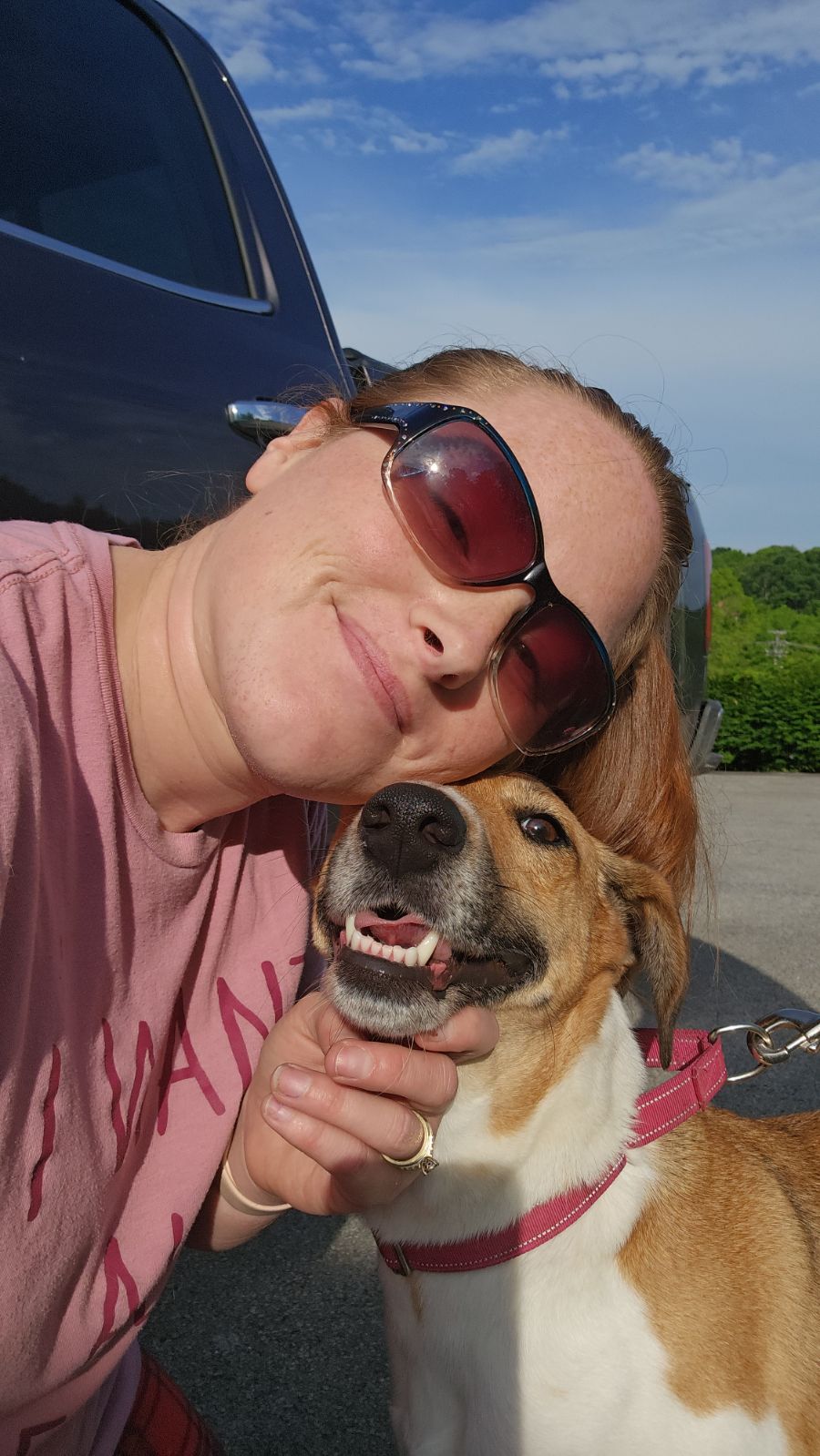 Dove- over 2 YEARS in shelter/foster