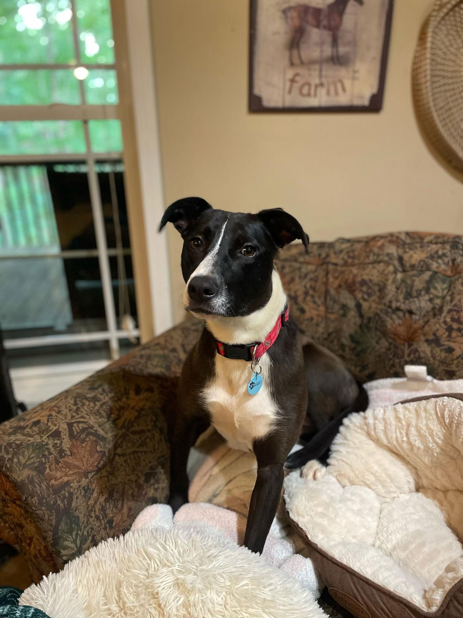 Lila Dixon thumbnail 2