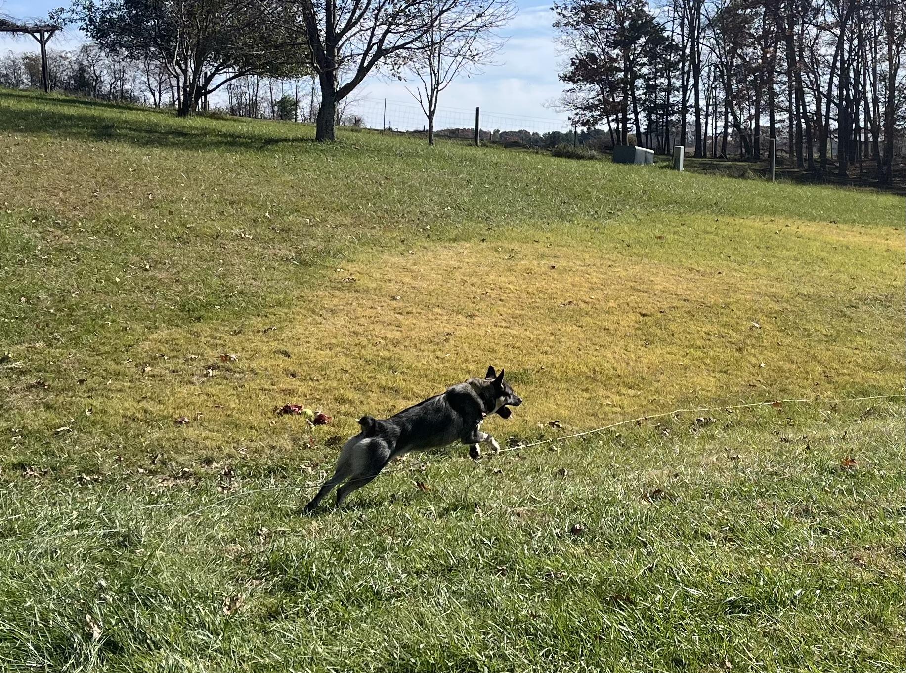 Loki Community Post thumbnail 3