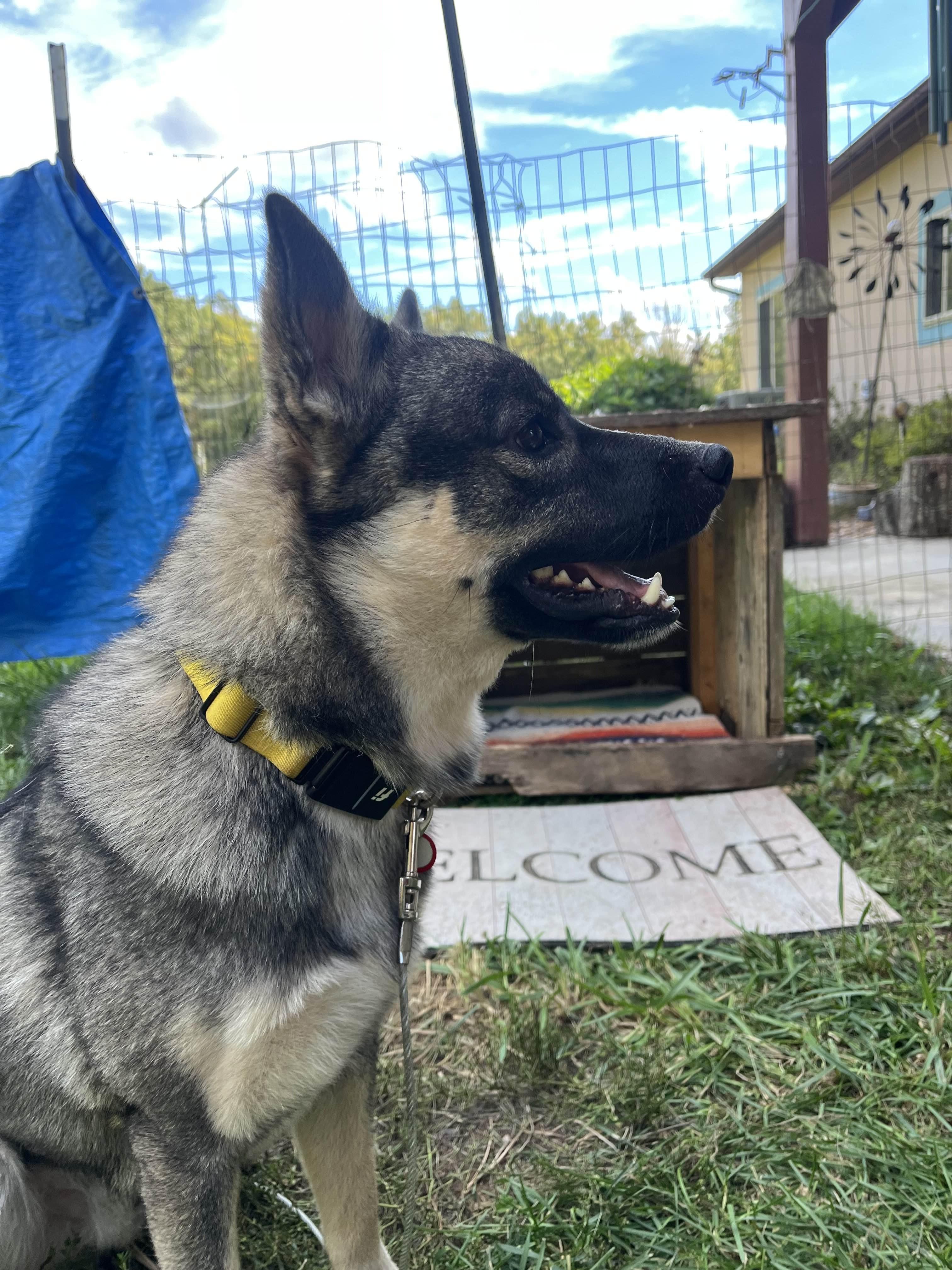 Loki Community Post thumbnail 4