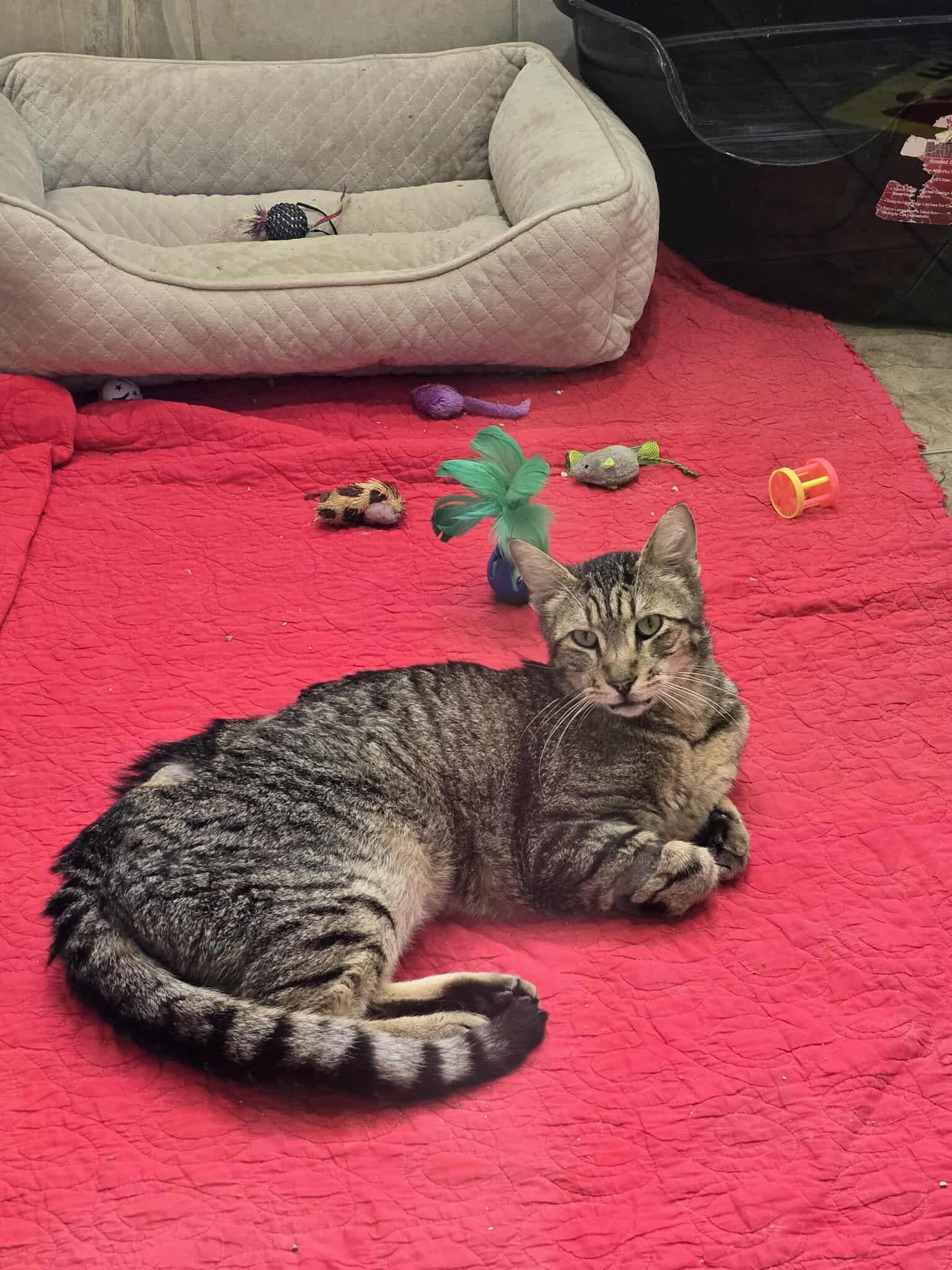Frederick, Senior Male unknown