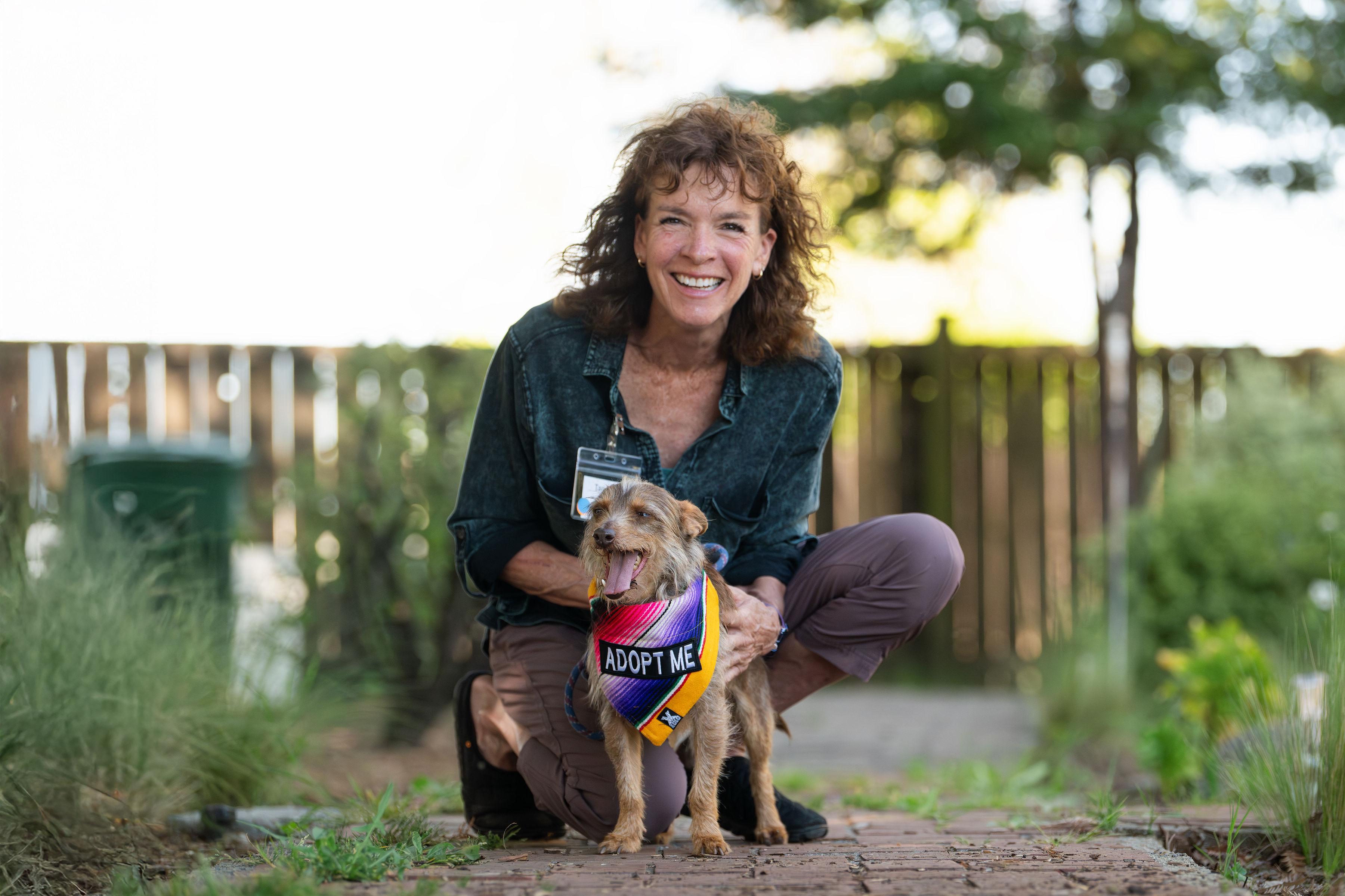Shaggy, a ADOPTABLE mixed breed in Santa Rosa, CA image 4/4