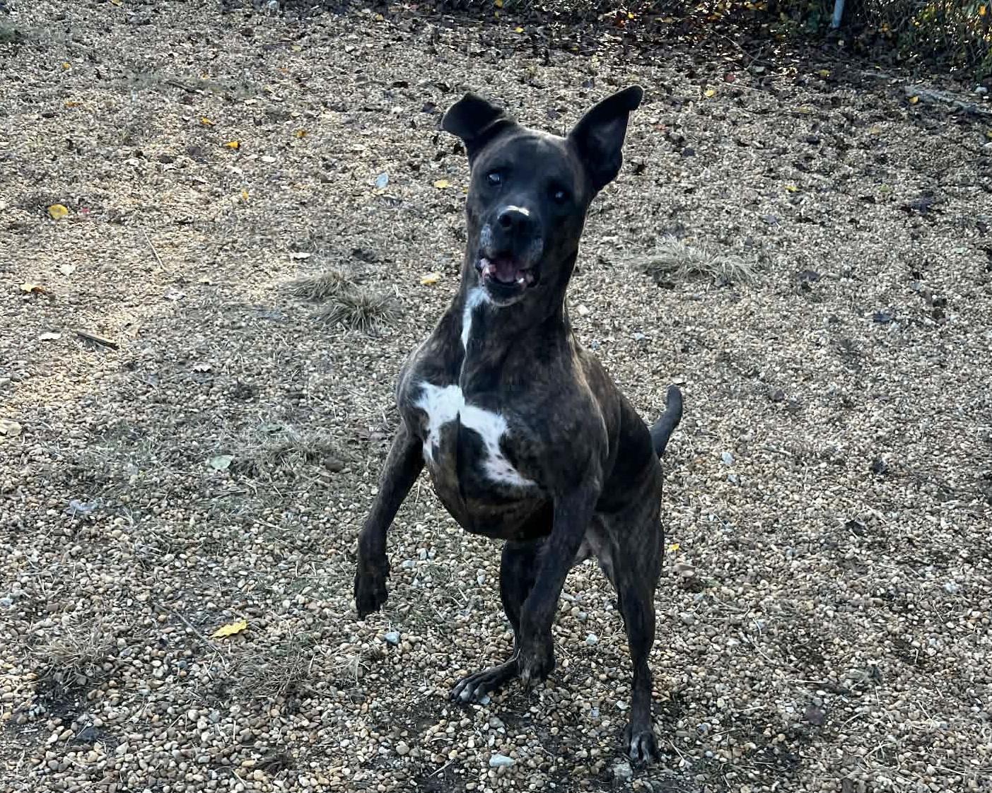 Dorothy — thumbnail 2