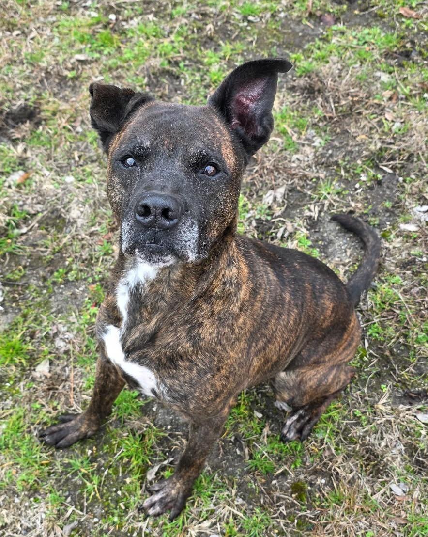 Dorothy — thumbnail 3