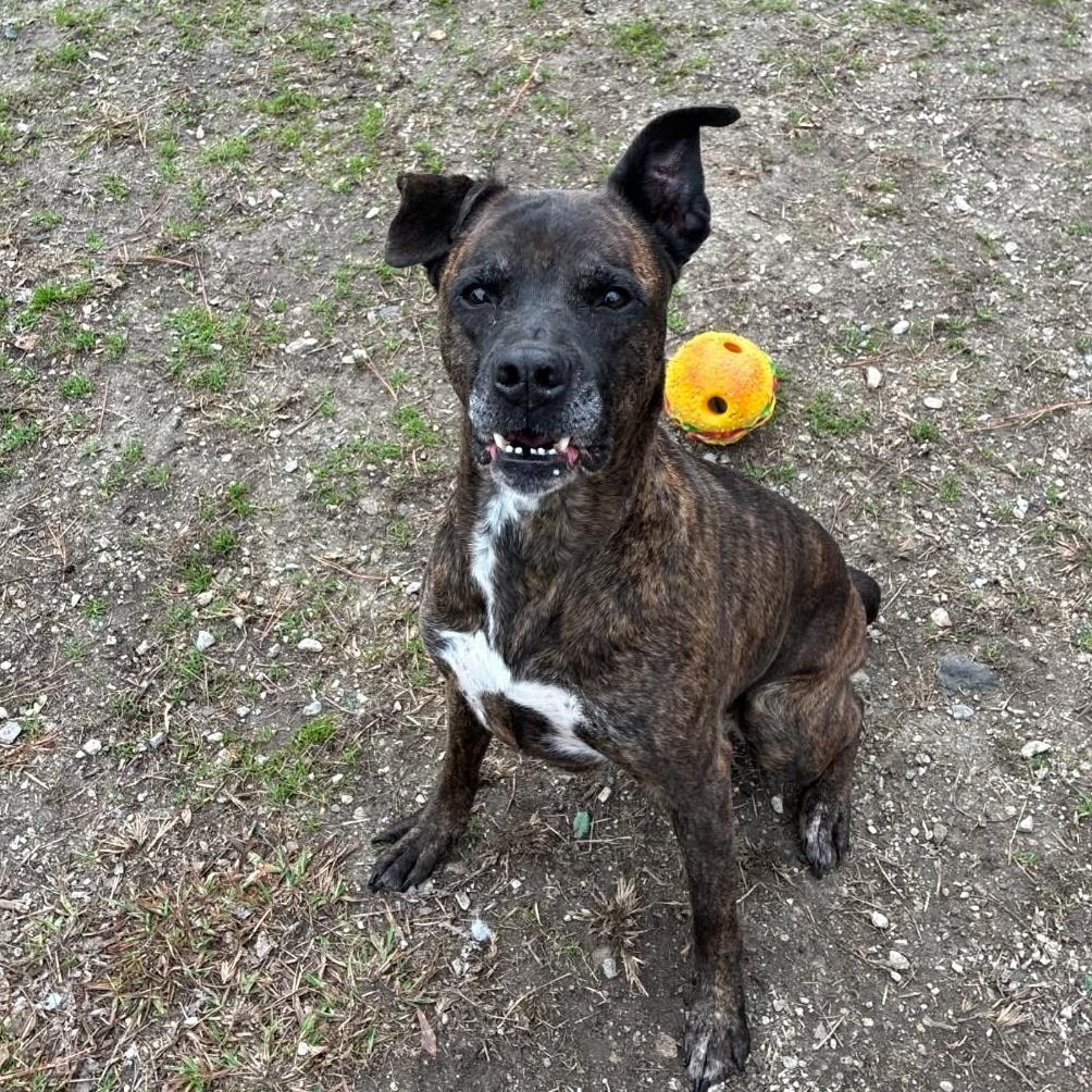 Dorothy — thumbnail 4