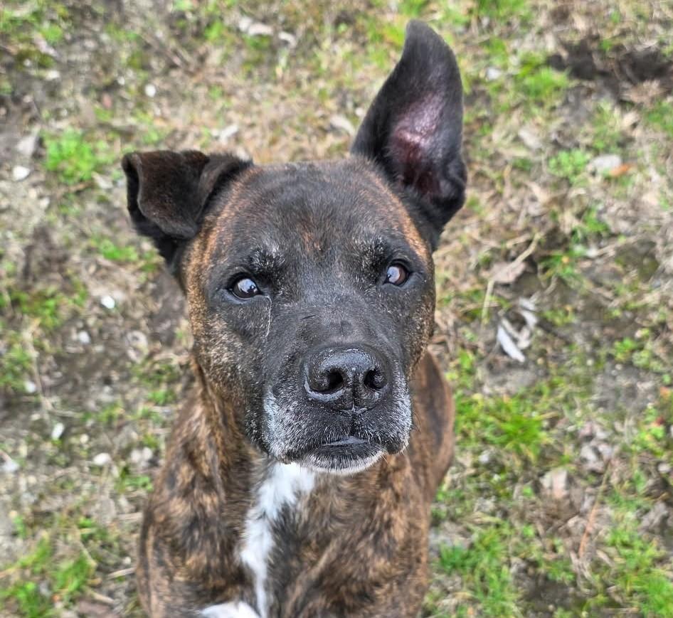 Dorothy — thumbnail 5